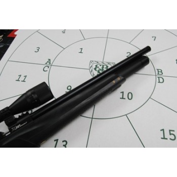Stoeger XM1 Scout .22 With Scope